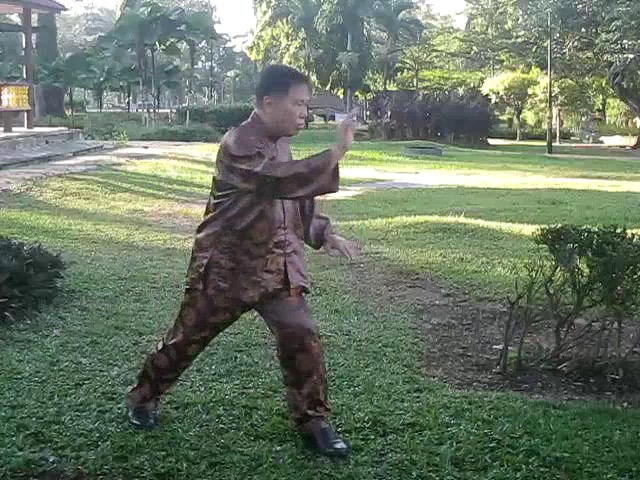 Sun Style Taijiquan